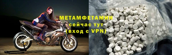 прущие грибы Аша
