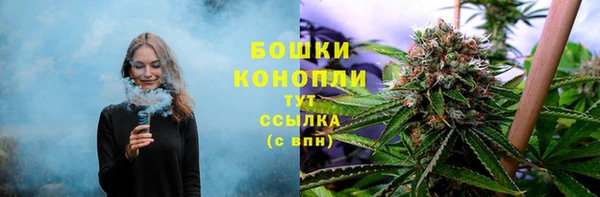 индика Анива