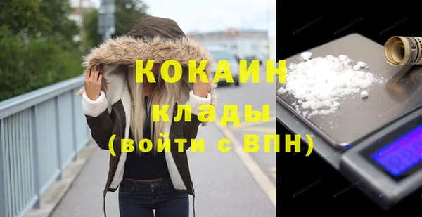 индика Анива