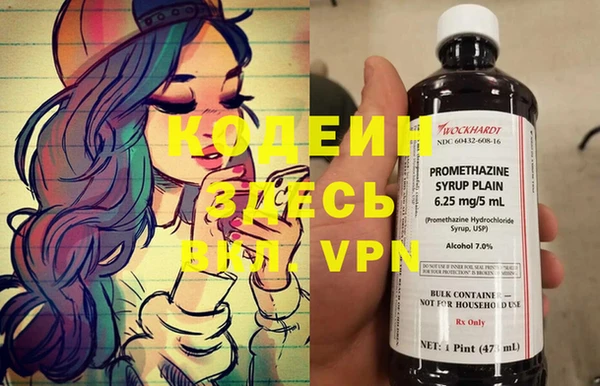 индика Анива