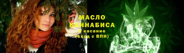 индика Анива