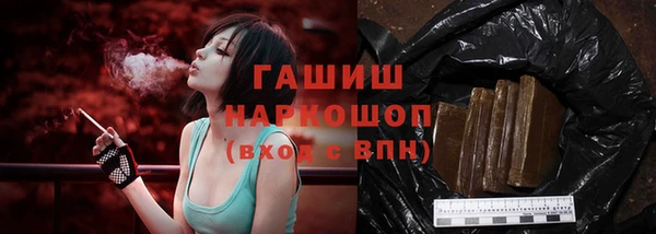 индика Анива