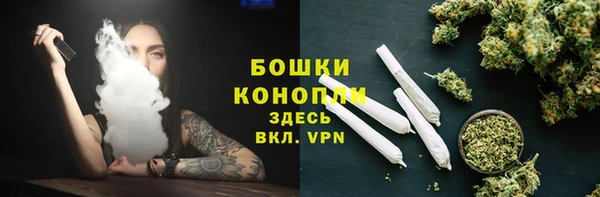 индика Ахтубинск