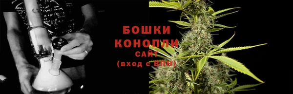прущие грибы Аша