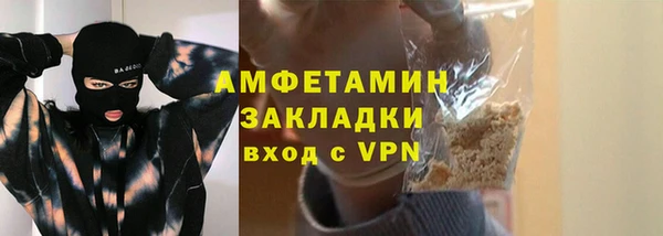 индика Анива
