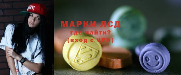 индика Анива