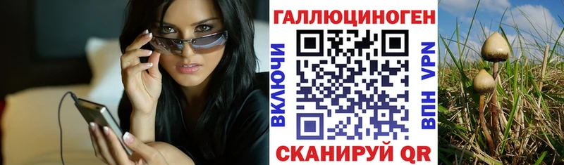 Галлюциногенные грибы Cubensis  площадка клад  Избербаш 