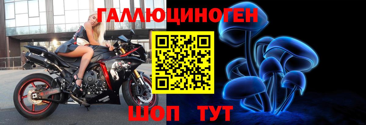 Псилоцибиновые грибы прущие грибы  Избербаш 