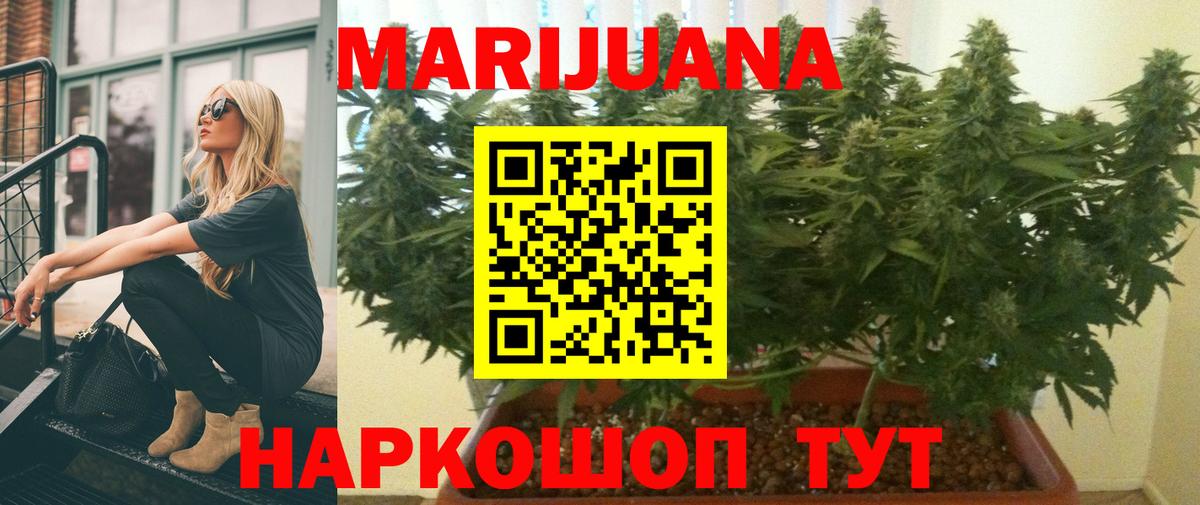 Шишки марихуана OG Kush Избербаш